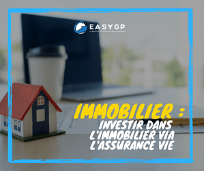 immobilier-Investir-dans-l'immobilier-via-l'assurance-vie