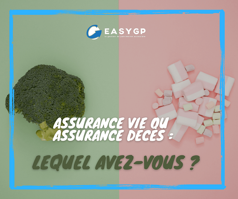 Assurance-vie-ou-assurance-décès-lequel-avez-vous-453